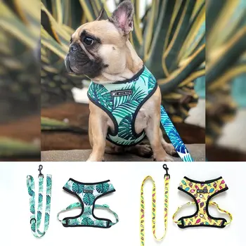 

Pet for French Bulldog Small Medium Dogs Leashes Pug Puppy Frenchie Pet Vest Walking Dog Lead Leash Pet Products