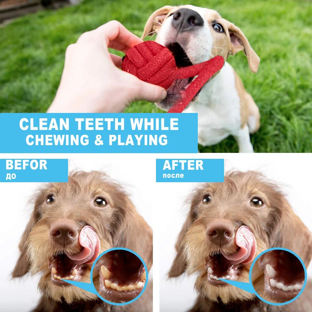 Big Dog Chew Toys Bite Resistant Pet Toy for Small Medium Large Dogs French  Bulldog Border Collie Molars Clean Teeth Supplies - AliExpress