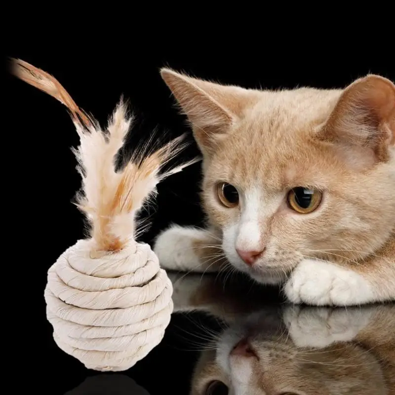 Funny Ball Shape Tumbler Cat Toy Kitten Environmental Protection Safety Material Interactive Training Toys with Feather