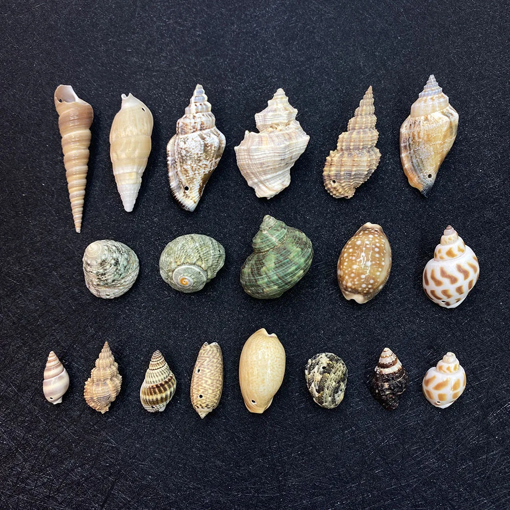 

10pcs/pack Natural Shell Conch Pendant Beach Decoration Shell Home Decoration Handmade DIY Making Wind Chime Necklace Accessorie