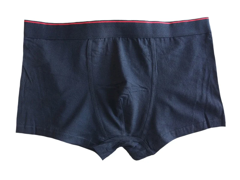 EIMG_20191104 4 800x600