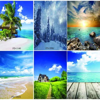 

Vinyl Custom Photography Backdrops Prop scenery Theme Photography Background NY1FD-01