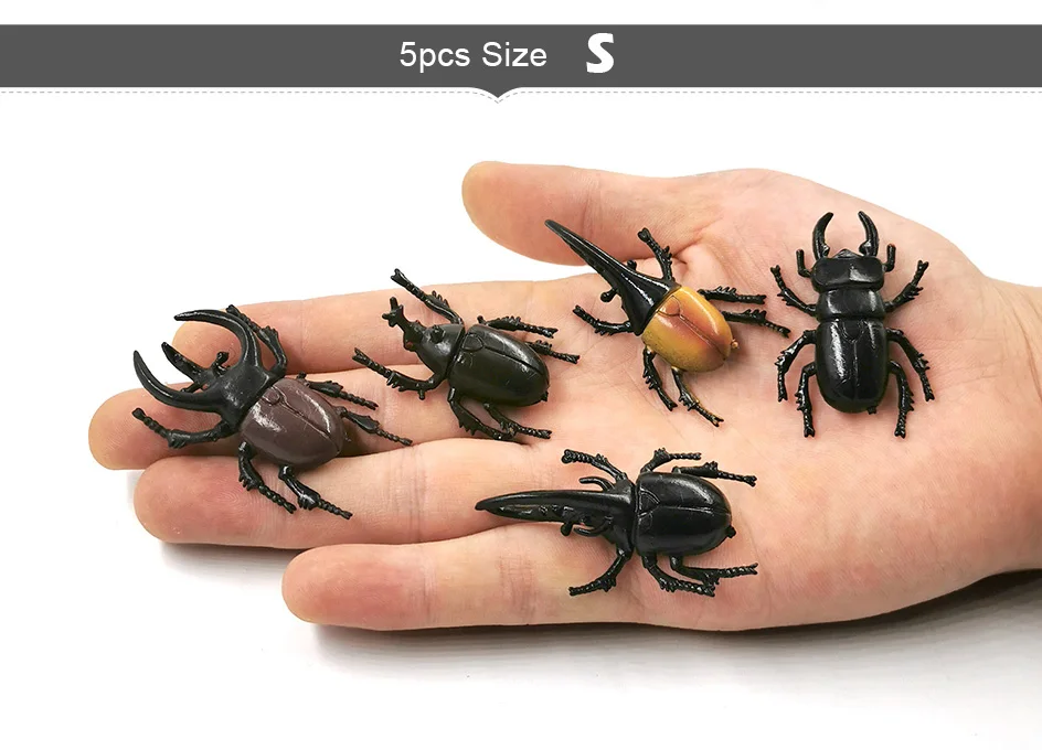 详情页-4款-昆虫甲虫等_03