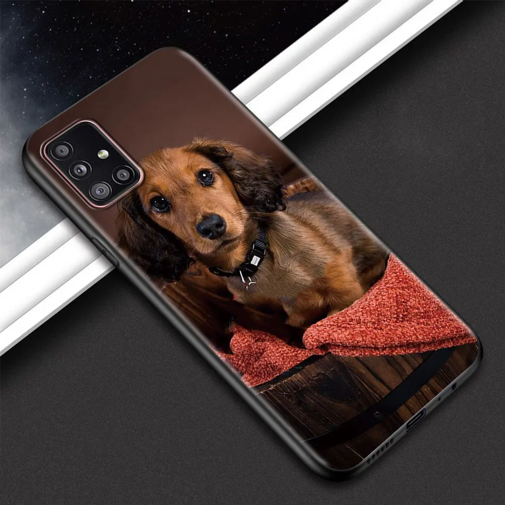 Animal Dachshund Dog Puppy Phone Shell For Samsung Galaxy A51 A71 A21s A12 A31 A41 A32 A02s A11 A72 A52 A42 5G A21 EU Soft Case Animal Dachshund Dog Puppy Phone Shell For Samsung Galaxy A51 A71 A21s A12 A31 A41 A32 A02s A11 A72 A52 A42 5G A21 EU Soft Case