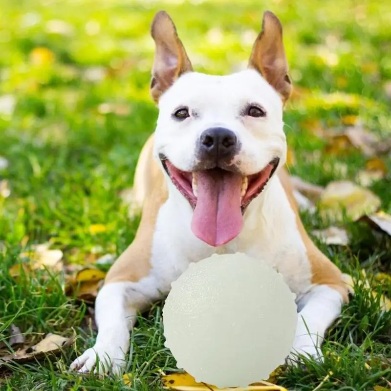 Резиновая собака Антистресс Мяч Флуоресцентный ПЭТ светящийся шар уплотнение Сжимаемый щенок игрушки для домашних животных домашний сад интерактивные аксессуары