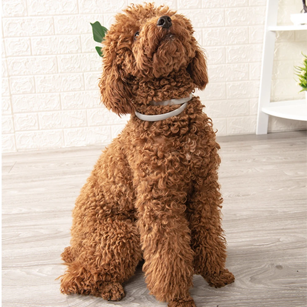 Flea Mosquito Pest Repellent Collar For Pet Dog Natural Pest Removing Oil Flea Repellent Dog Collar Eliminating Tick Collar
