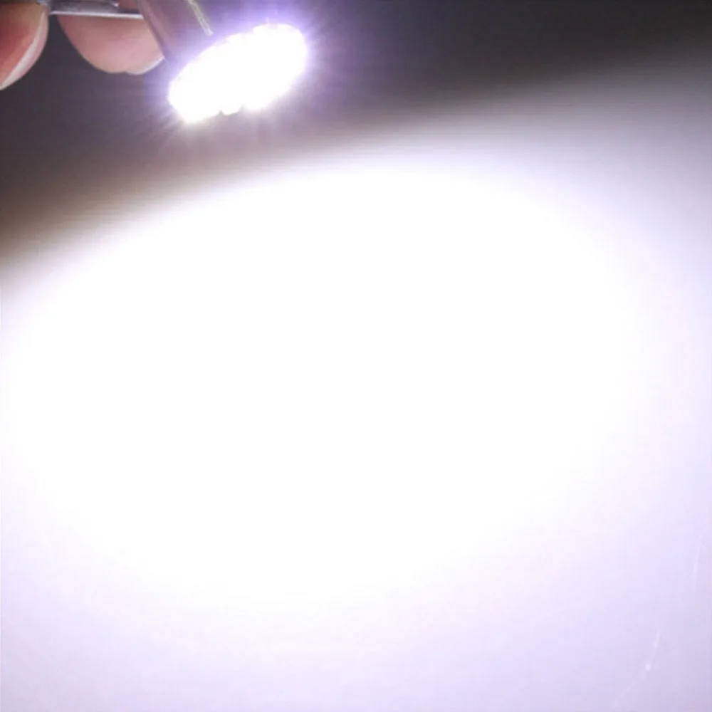277980_no-logo_277980-1-13