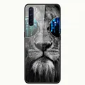 Picture 12