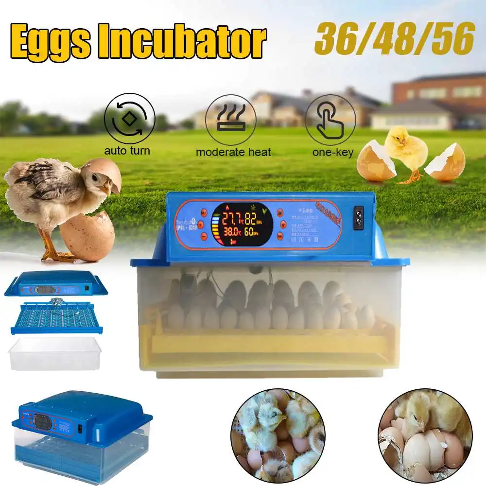 

New 36/48/56 Eggs Incubator 220V Digital Temperature Control Automatic Chicken Chick Duck Hatcher Chickens Ducks Geese