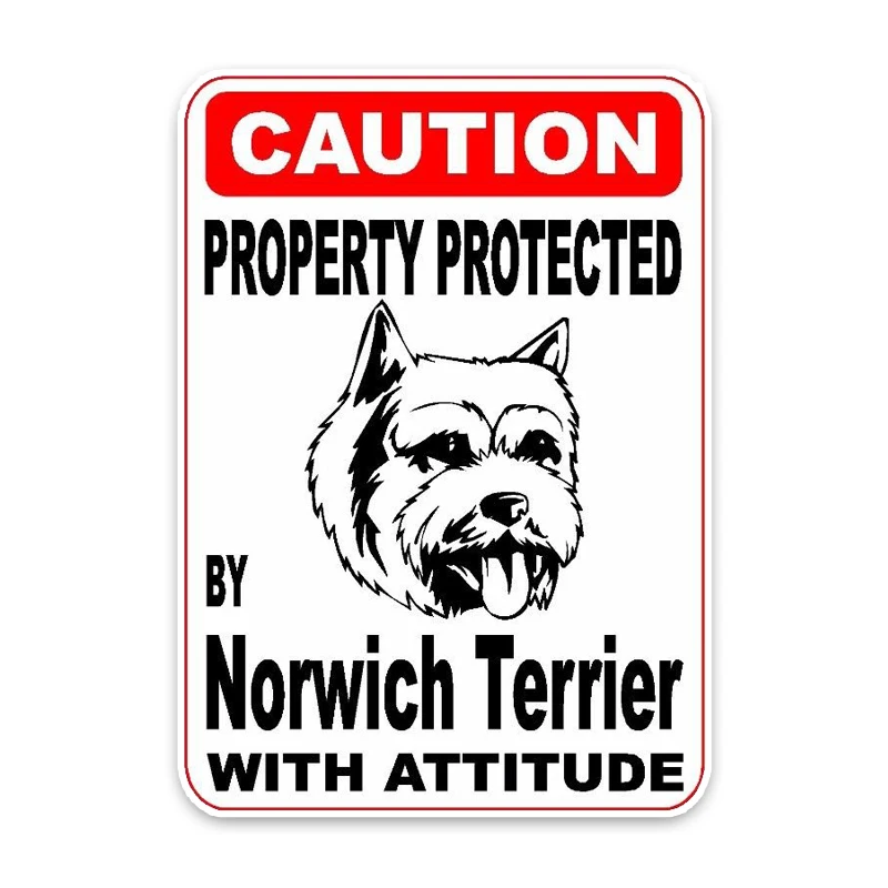 

Personality Car Stickers Property Protected By Norwich Terrier Dog Accessories Motorcycle Cover Scratches PVC 14cm *10cm