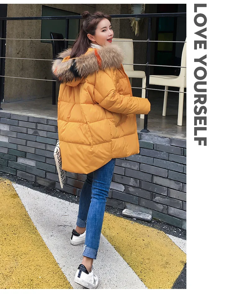 9036770360_1006637240