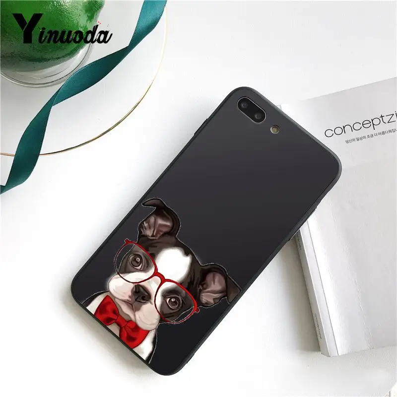 Cute  French Bulldog cartoon dog and cat