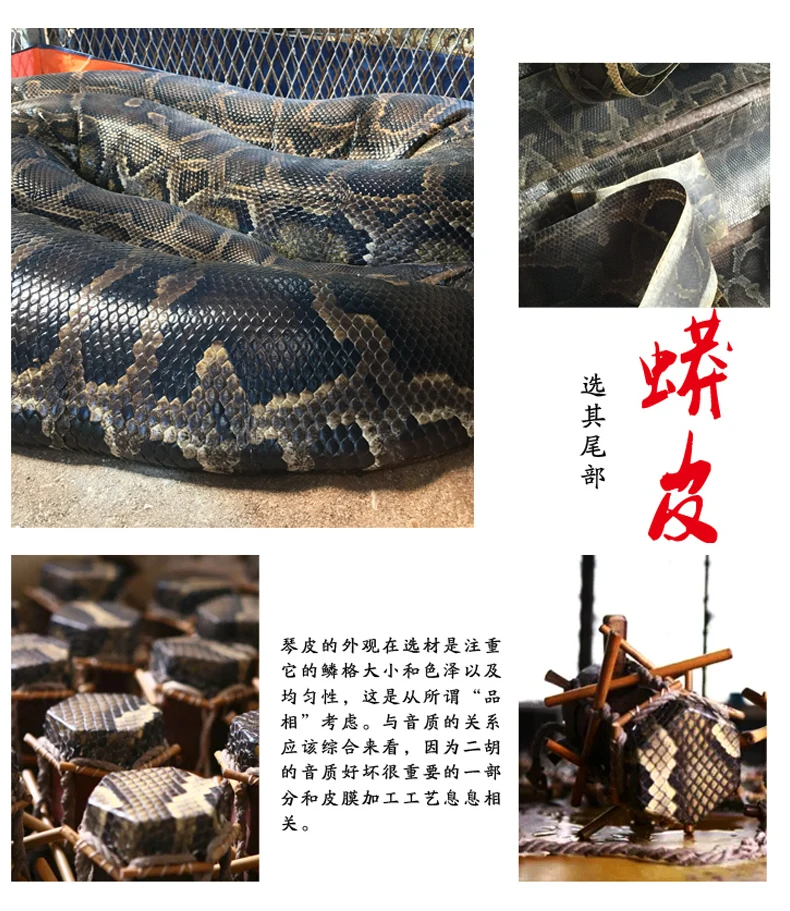 TB2NxAcbA7myKJjSZFkXXa3vVXa_!!2003697237