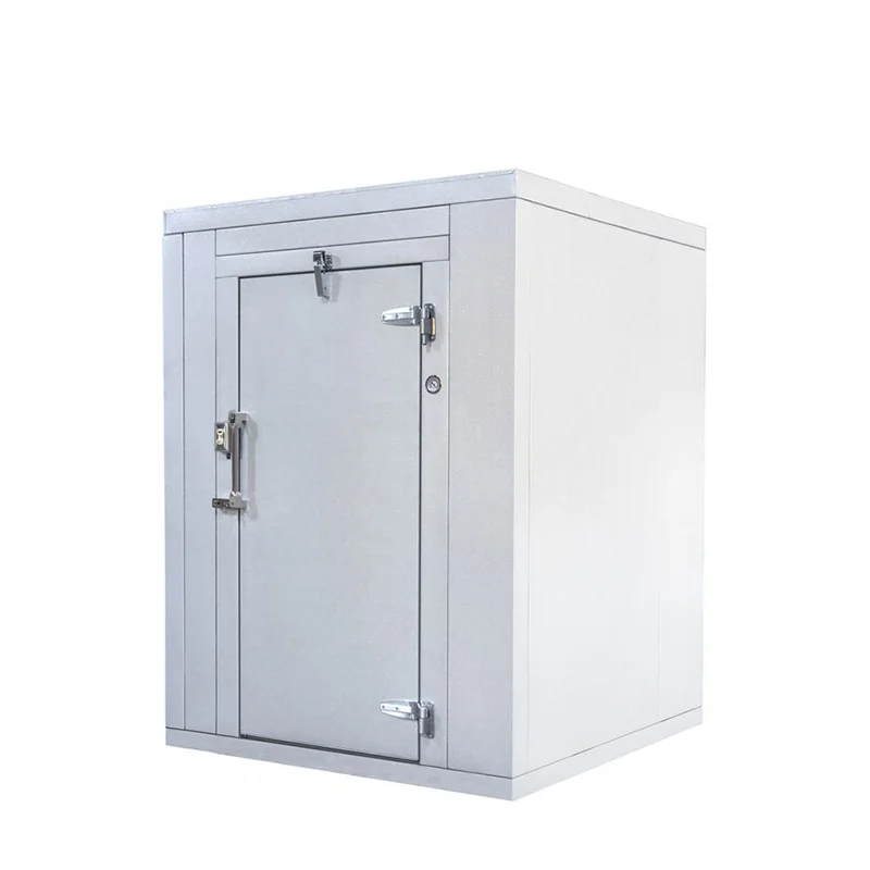 Mini Cold Room/Small Cold Storage/Cool Room for Food Deposit Link Kindly Contact Seller First WT