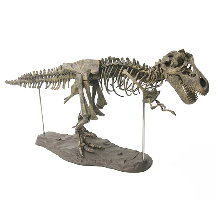 

Dinosaur Model Tyrannosaurus Skeleton Model Archeology Dinosaur Bone Fossils Model Teaching Only Toy Decoration