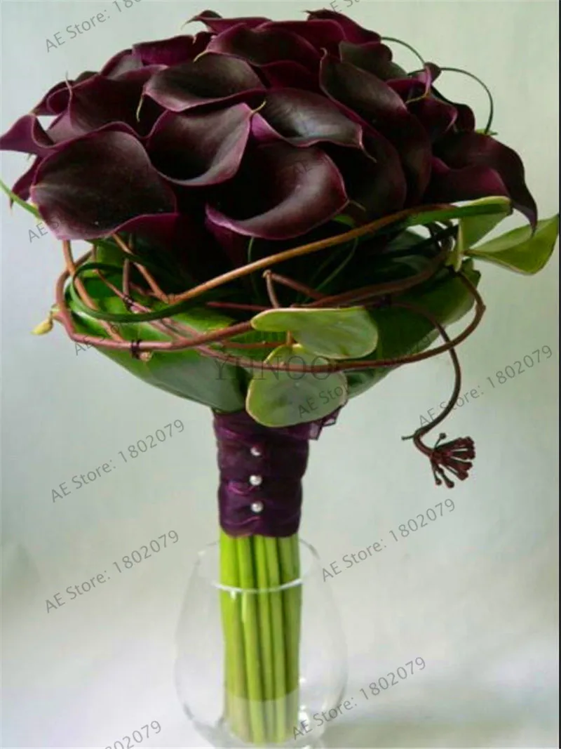4 103 шт смешанные цвета Calla, calla lily plantas, редкий прекрасный бонсай цветок Флорес, горшок для домашнего сада и двора - Цвет: 4