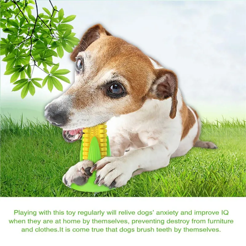 Dog Destroys All Toys visitchile.cl