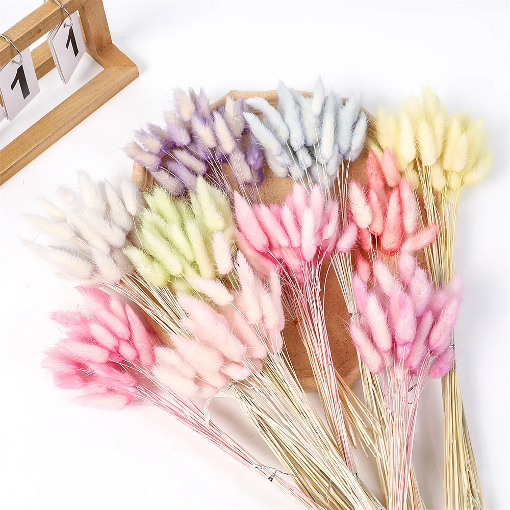 30X Dried Flowers Bouquet Rabbit Tail Grass Real Flower Weddings Home Decors 