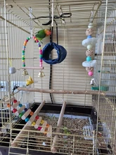 Swing-Toy Perch Beads Bird-Supplies Parrots Wooden Hanging Natural with Colorful