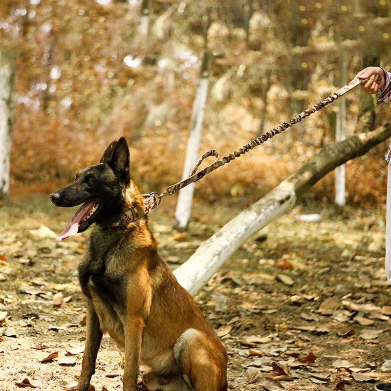 Benepaw прочный тактический ошейник для собак Регулируемый сверхмощный военный тренировочный ошейник для домашних животных средних и больших собак Волшебная наклейка ID панель