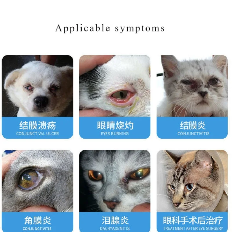 Pet Eyes Red Ulcer Eye Drops Pet Eye Ointment LittlePuppy