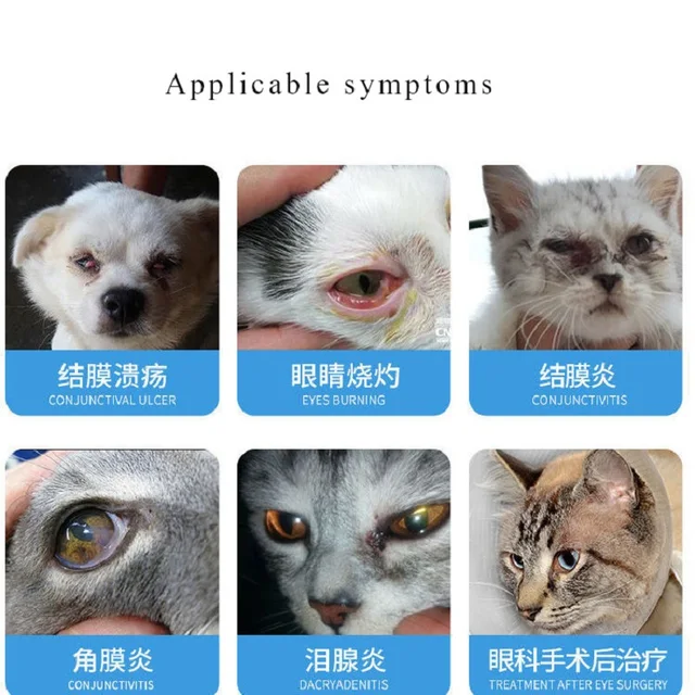 Pet Eyes Red Ulcer Eye Drops Pet Eye Ointment LittlePuppy