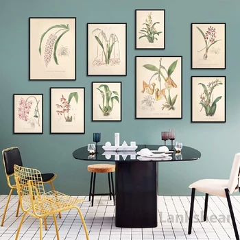 

Antique Botanical Canvas Art Posters and Prints Vintage Botanical Wall Art Canvas Painting Pictures For Living Room Home Decor