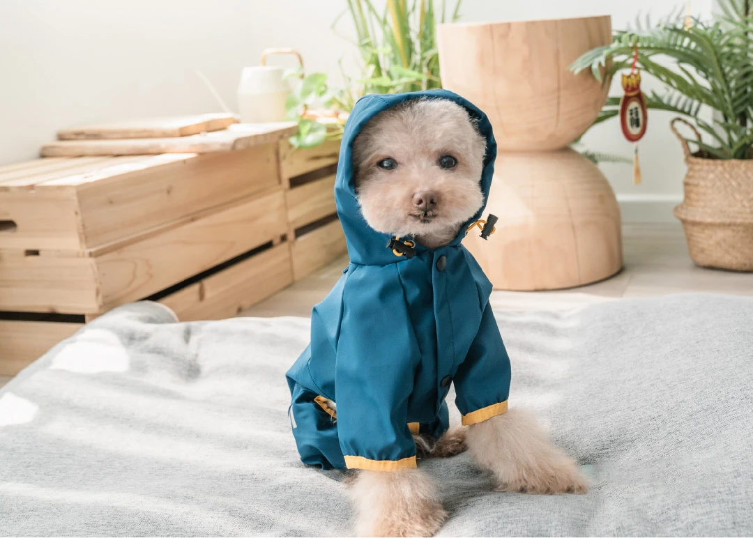 estimação, Casaco impermeável para cães, Malha respirável