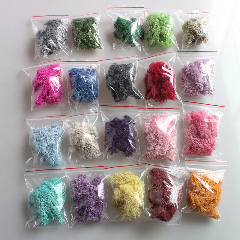 9019045697_1854372444