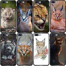 Caracal Chat Prix Aliexpress Caracal Chat Prix Aliexpress