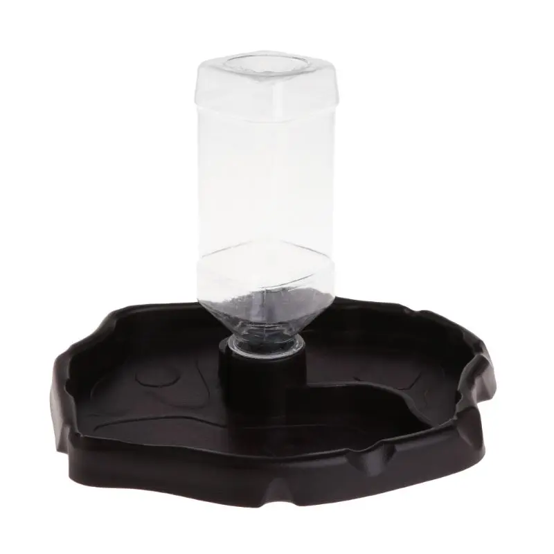 Feeder 2 in 1 Automatic Water Feeding Plate Dispenser