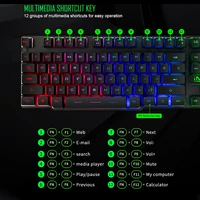 Computer Peripherals