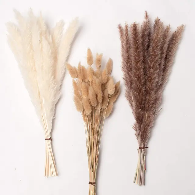 Phragmites Pampas Grass Large Bouquet