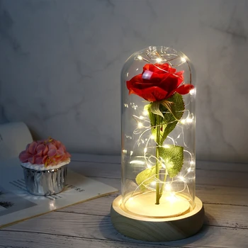 

Romantic Eternal Life Flower Glass Cover Beauty and Beast Rose LED Battery Lamp Birthday Valentine's Day Christmas Mother Gifts