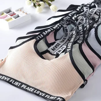 

Sports Bra Breathable Underwear Running Yoga Gym Wear Sportswear TC21