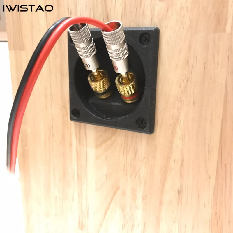 IWISTAO HIFI Speaker Empty Cabinet 6.5 Inches 1