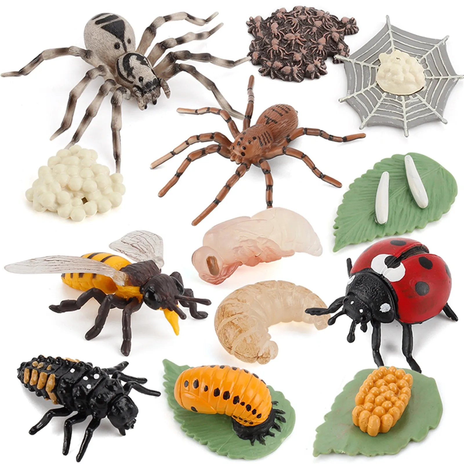 Arthropod-Simulación de ciclo de vida de una araña, abeja, mariquita, modelo de crecimiento, figuras de acción en miniatura, juguetes educativos para niños