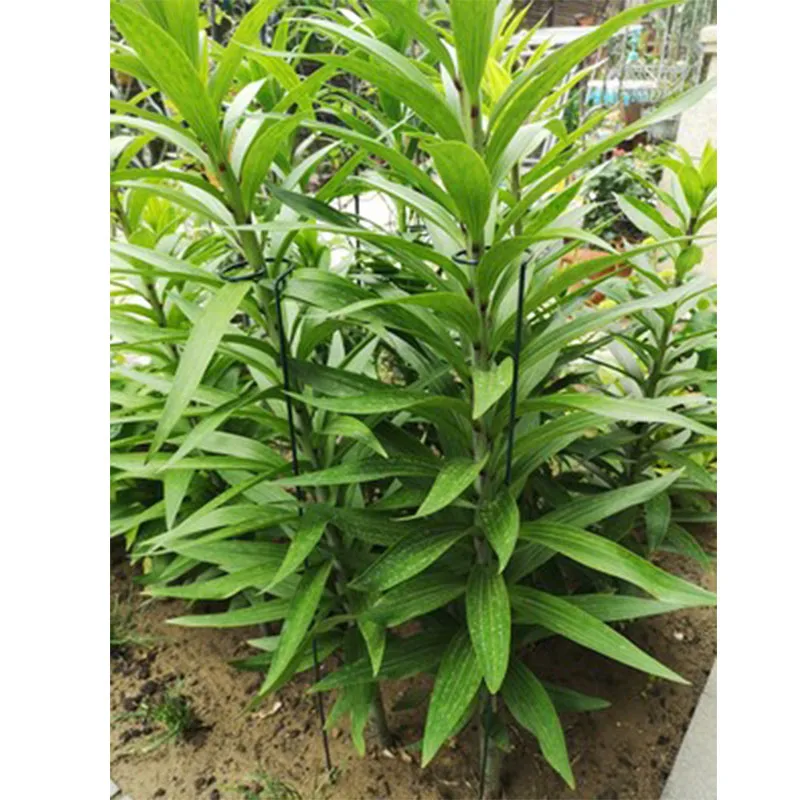 Один стержень поддерживает набор из 5 шт. | Дом и сад