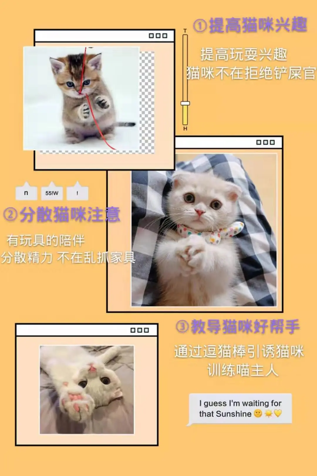 微信图片_20190815132817