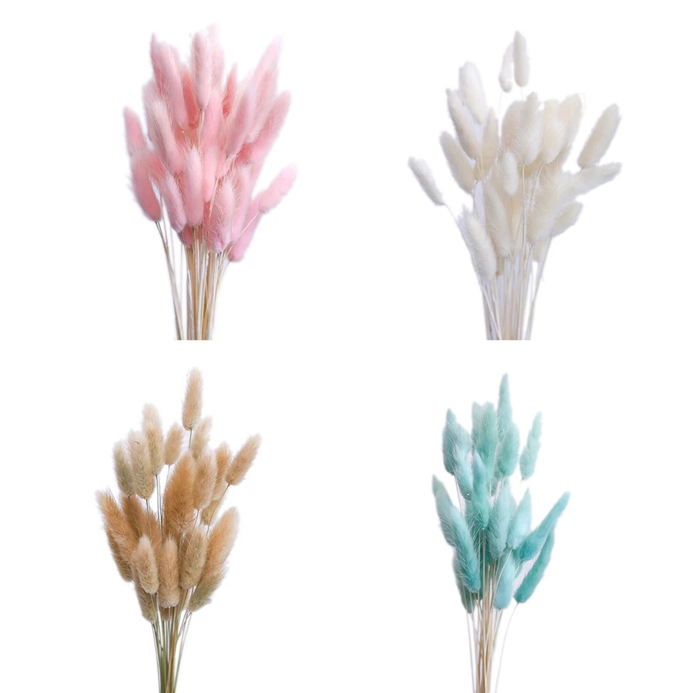 15 шт. Bulrush засушенный натуральный маленький пампасная трава Phragmites munis, свадебный цветок букет 3 цвета для домашнего декора