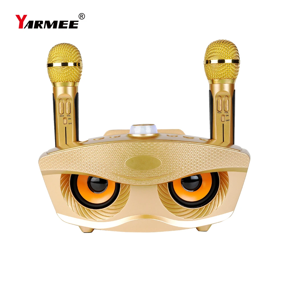 Профессиональный Bluetooth динамик для караоке с беспроводным микрофоном домашняя