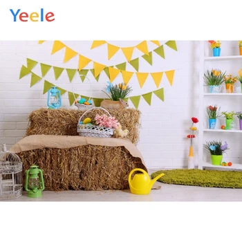 

Happy Easter Spring Egg Rabbit Haystack Baby Shower Interior Room Backdrop Photography Background For Photo Studio Photophone