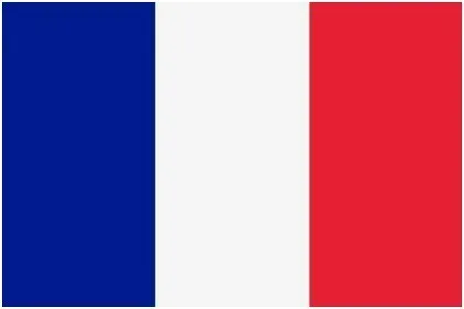 France 10 упаковок, Национальный ручной Флаг США, Великобритании, ЕС, России, Франции, Испании, Нидерландов, Израиля, 14x21 см, ручные флаги с пластиковыми флажками - Цвет: France