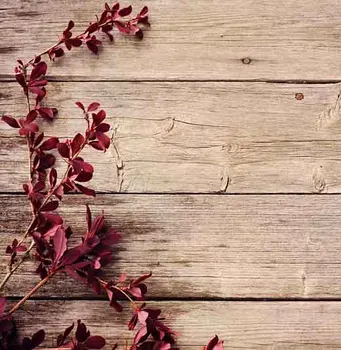 

SHUOZHIKE Vinyl Custom Wood Planks Scenery Theme Photography Backdrops Studio Prop Background HY19924-8160589