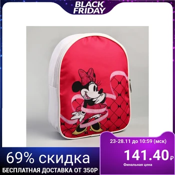 

Beautician, 17x22 cm, department with a zipper, without a lining, Minnie Mouse