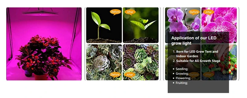 企业微信截图_20190930161819