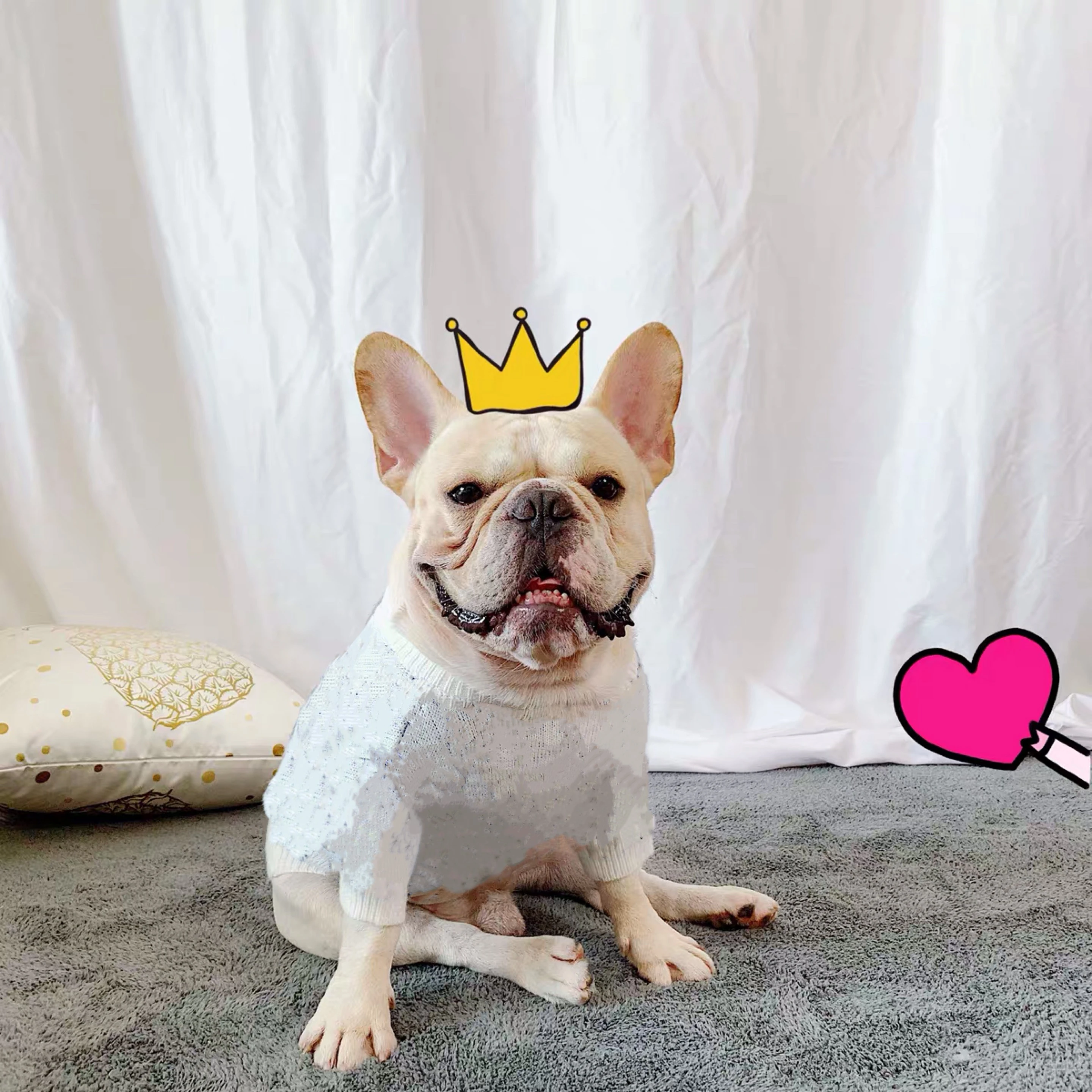Sueter De Invierno Calido Para Bulldog Frances Ropa Para Perro Sudadera Con Capucha Para Cachorro Pug Corgi Schnauzer Abrigo Para Perros Ldc09 Sueteres De Perro Aliexpress