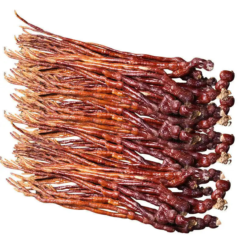 agrocybe aegerita chaxingu glossy ganoderma yanagima