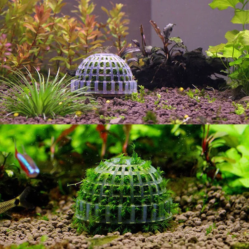 Marimo Moss Ball Live Plants Filter Aquatic Pet Supplies Aquarium Decoration For Java Shrimps