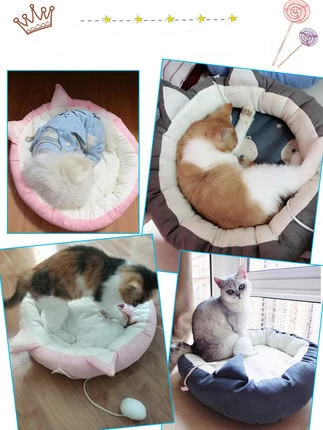 O1CN01KucSrH1KwvJGQivlR_!!2094771229.jpg_430x430q90